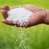Urea Fertilizer for Plants