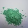 Epoxy Resin Green Metallic (Pearl) 15 grams POWDER Form (Imported) 1873
