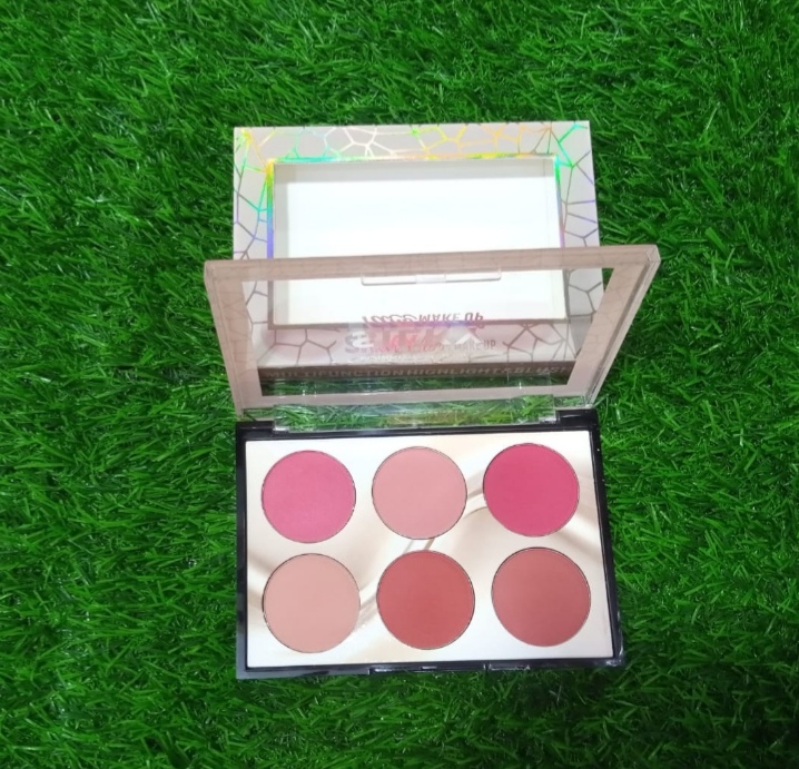 6 in 1 Professional Blush On Palette Kit - Multicolor
