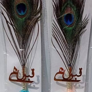 NIKAH PEN WITH QABOOL HAI PEACOCK FEATHER PEN